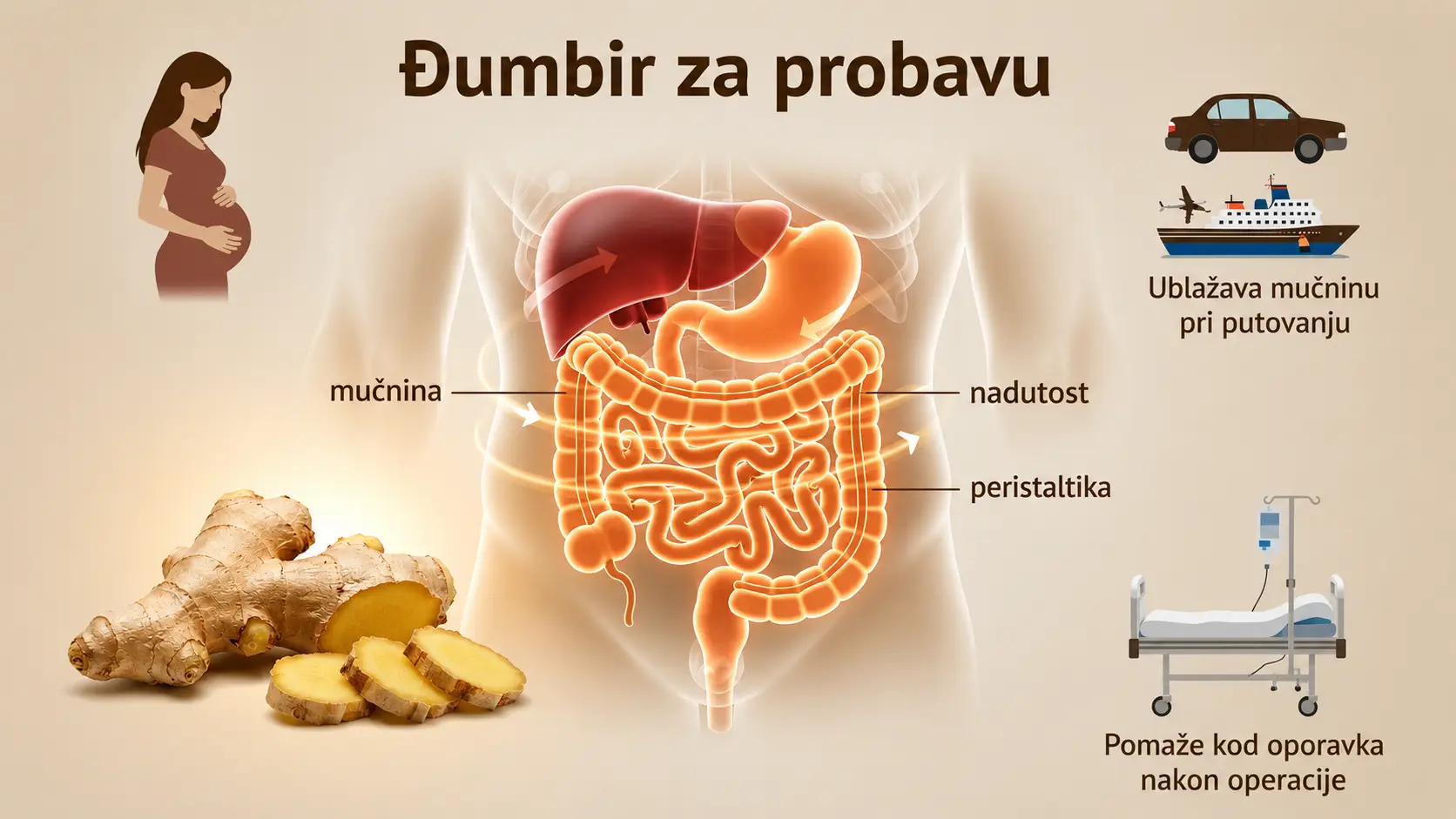 Đumbir za probavu