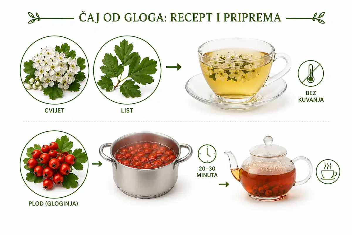 Čaj od gloga recept i priprema